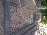 image of grave number 759881